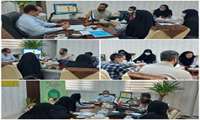 دیدار و گفتگو اصحاب رسانه با مدیر شبکه بهداشت و درمان پاکدشت 